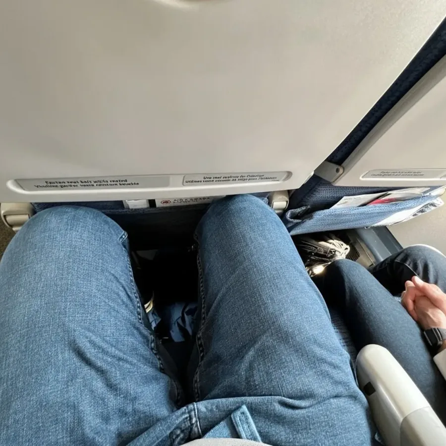 Economy Seat Padding Was Thinned to Fit More Rows In